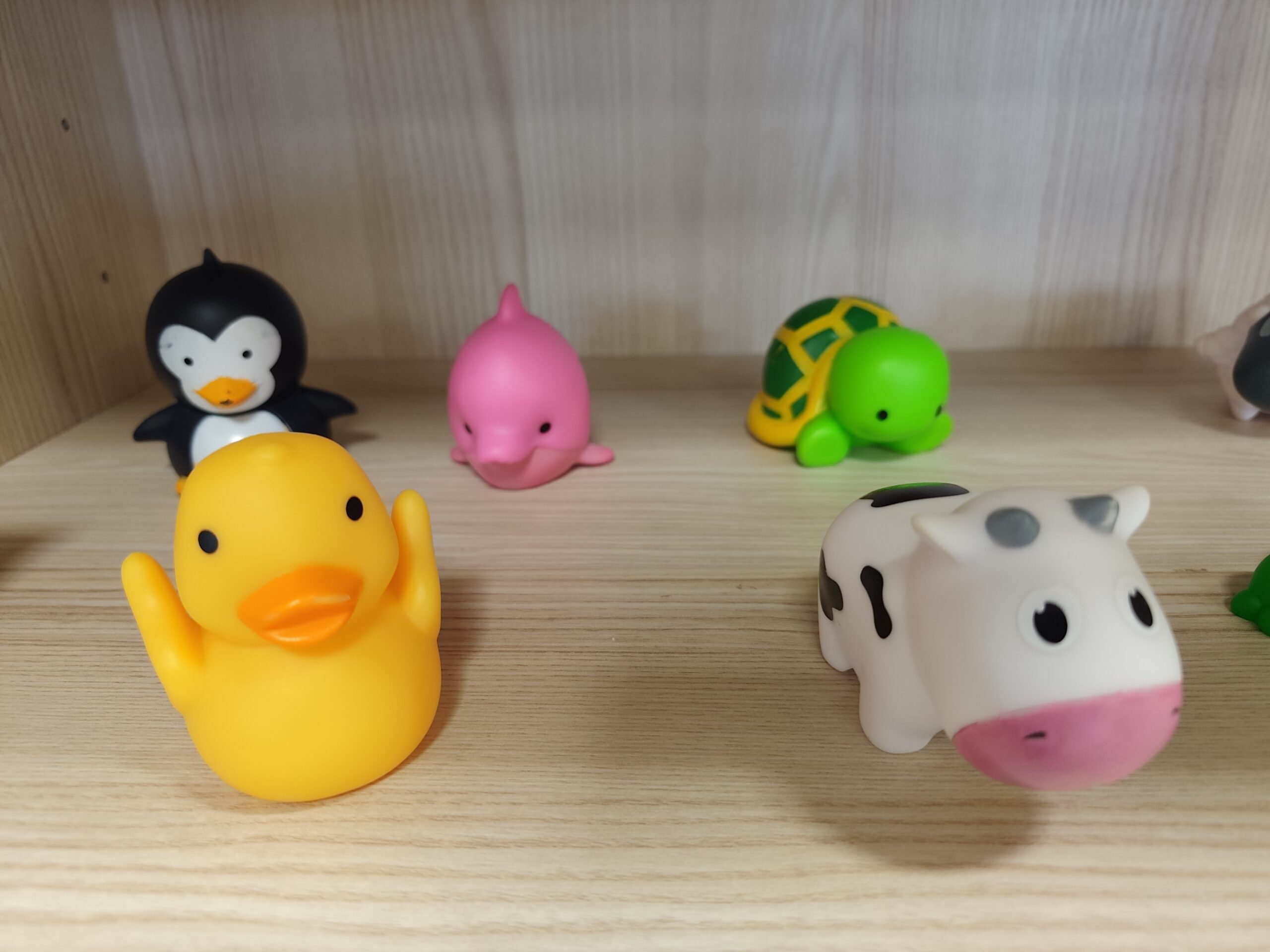 Petits jouets animaux colorés disposés sur une étagère de la micro-crèche